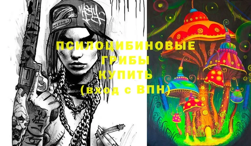 Галлюциногенные грибы Cubensis Костомукша